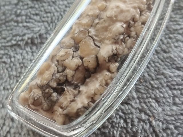 คต งอก รูปที่ 7