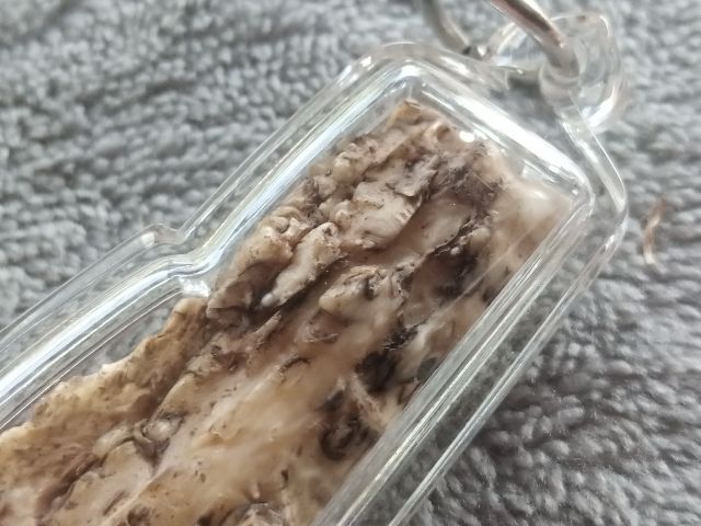 คต งอก รูปที่ 13