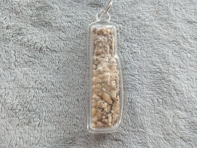 คต งอก รูปที่ 3