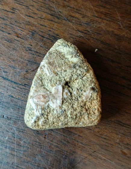 หลวงพ่อโต วัดบางกระทิง  อยุธยา รูปที่ 2