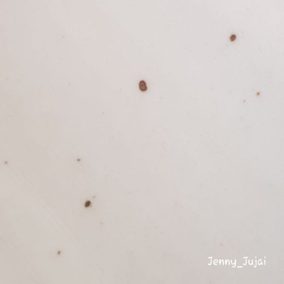 อ่างบัว รูปที่ 11