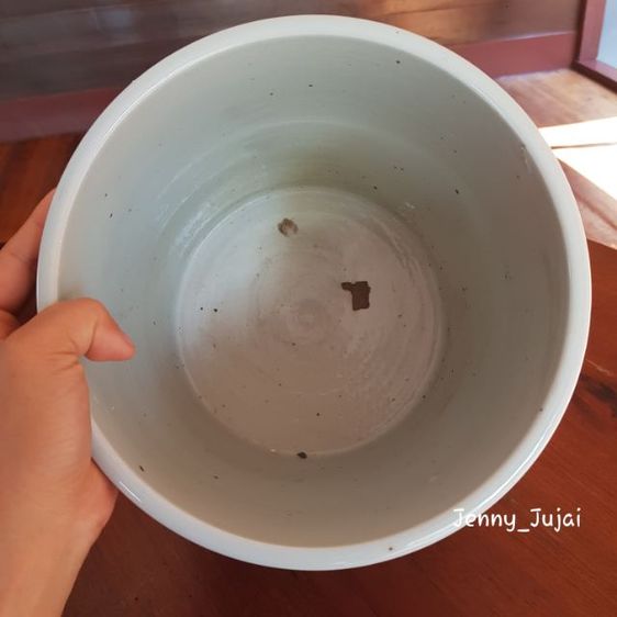 อ่างบัว รูปที่ 12