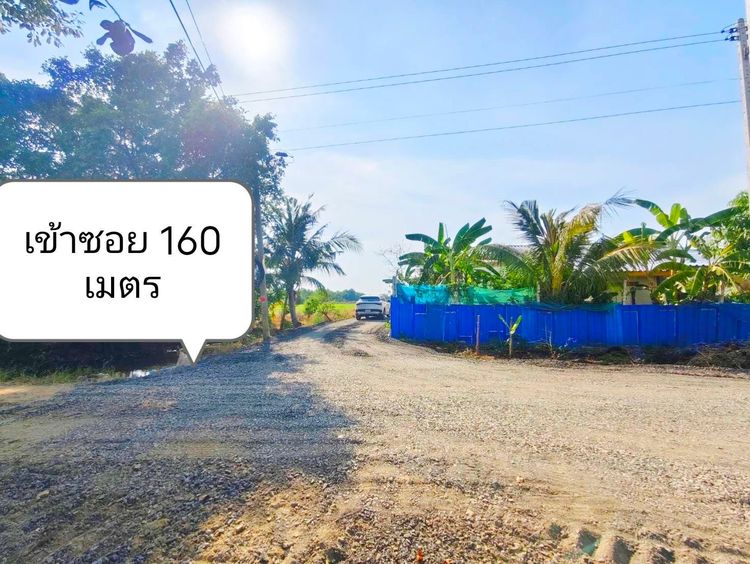 ขายที่ดินคลอง 5 คลองหลวง ทำเลชุมชน น้ำไฟครบ พร้อมใช้ ราคาพิเศษ ฟรีโอน รูปที่ 3