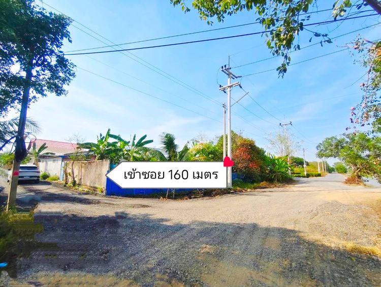 ขายที่ดินคลอง 5 คลองหลวง ทำเลชุมชน น้ำไฟครบ พร้อมใช้ ราคาพิเศษ ฟรีโอน รูปที่ 4