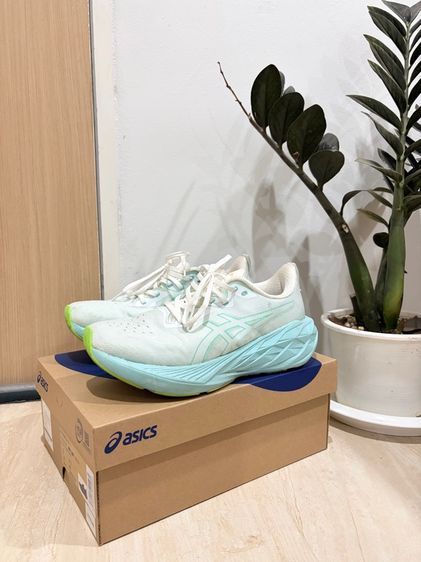 ไม่ระบุ อื่นๆ รองเท้าวิ่ง ASICS Novablast 4