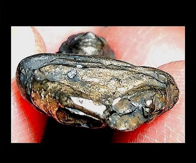 พระกรุ รูปที่ 8