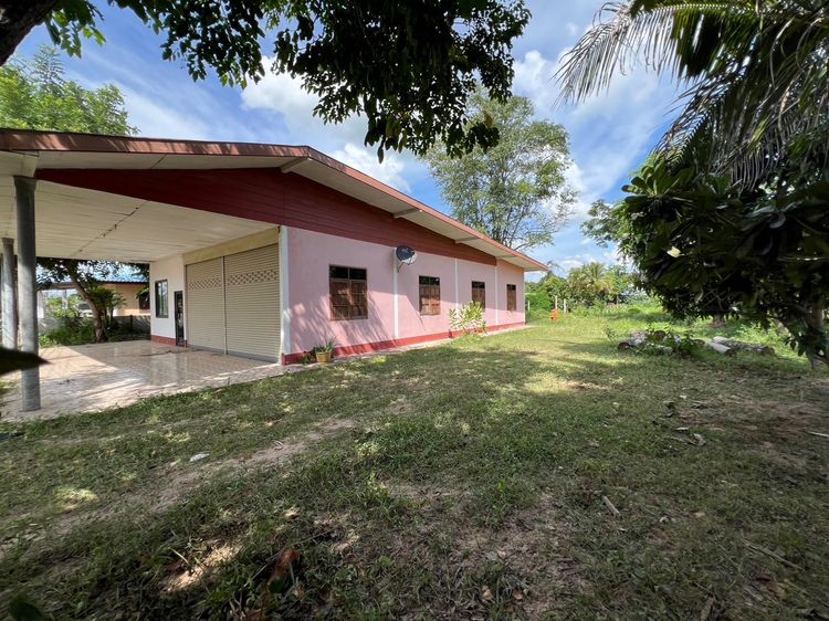 อื่นๆ ไม่มี 🔥ขายด่วน ราคาพิเศษ เจ้าของลดหลายแสน บ้านพร้อมร้านค้า ติดถนนหลวงสายวาปี–พยัคฆ์ 2045 ที่ดินขนาดใหญ่ 262 ตารางวา ดินถมสูงเท่าถนน น้ำไม่ท่วม มี รูปที่ 3