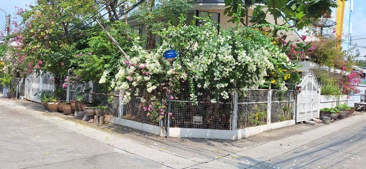 ขายบ้านพร้อมที่ดิน 84 ตรว.ย่านพหลโยธิน18 รูปที่ 3