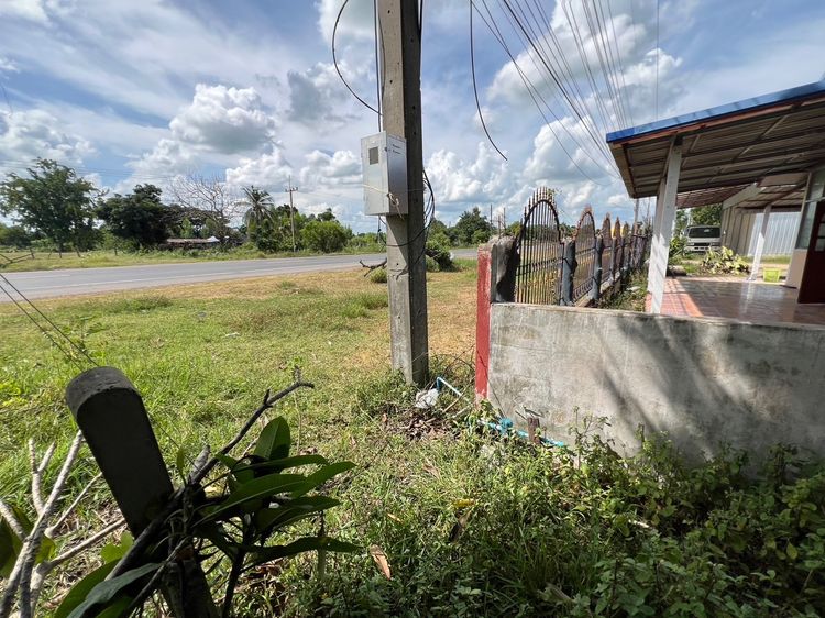 🏠 บ้านพร้อมร้านค้าหน้าถนนใหญ่ วาปี–พยัคฆ์  ที่ดิน 262 ตารางวา ราคาพิเศษ 1.65 ล้านบาท