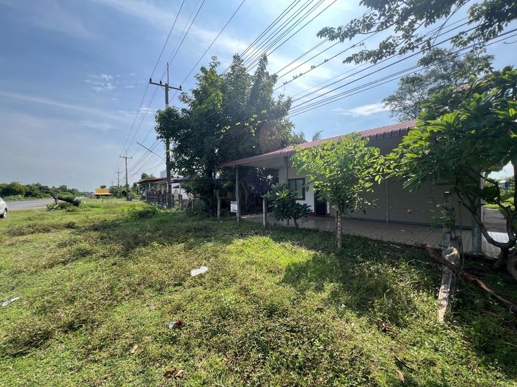 อื่นๆ ไม่มี 🏠 บ้านพร้อมร้านค้าหน้าถนนใหญ่ วาปี–พยัคฆ์ ที่ดิน 262 ตารางวา ราคาพิเศษ 1.65 ล้านบาท รูปที่ 3