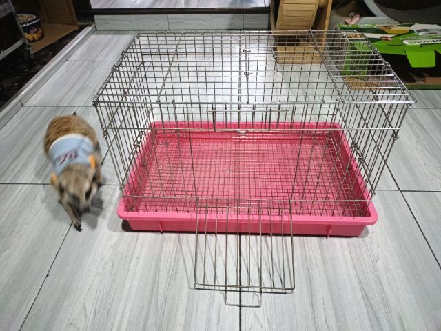 กรงเหล็ก