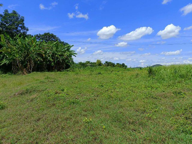 ใช่ ขายที่ดินโฉนดครุฑแดง รูปที่ 2