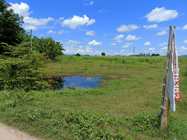 ขายที่ดินโฉนดครุฑแดง