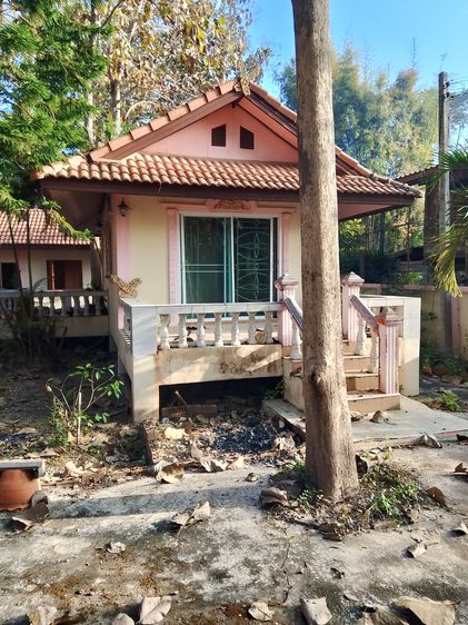 บ้านสวนที่ดิน 393 ตารางวา รูปที่ 3