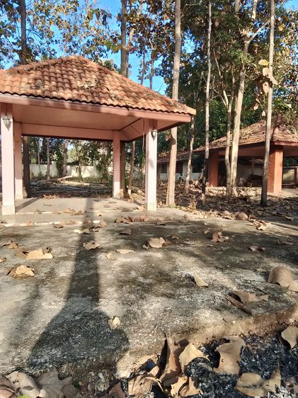 บ้านสวนที่ดิน 393 ตารางวา