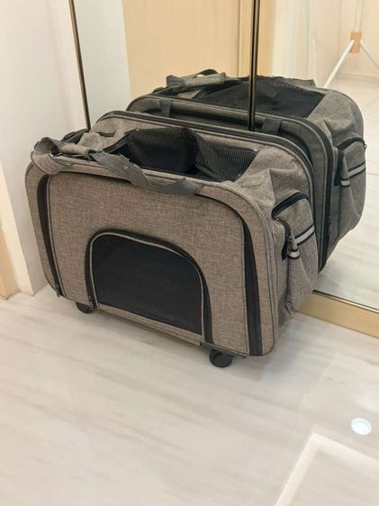 Grey Cat Carrier