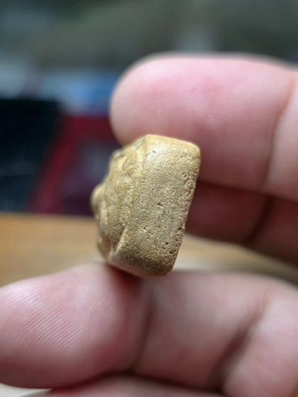 พระหลวงพ่อปาน วัดบางนมโค รุ่นแรก พิมพ์ทรง ปลาหมอใหญ่ รูปที่ 6