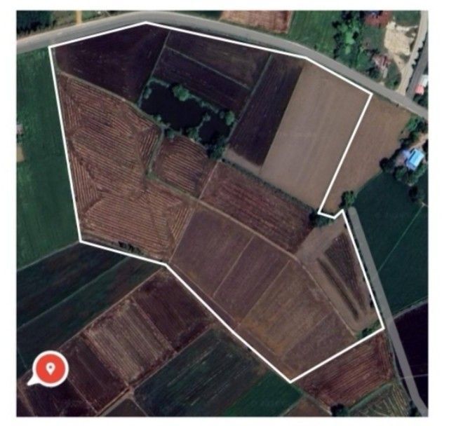 ไม่ใช่ เจ้าของขายเอง ที่ดินแปลงใหญ่ 43 ไร่เศษ โฉนด น.ส. 4 จ. ครุฑแดง ตลุกเทียม-พิษณุโลก ติดถนนสาธารณะ เหมาะทำฟาร์มหรือโกดังเกษตร รูปที่ 3