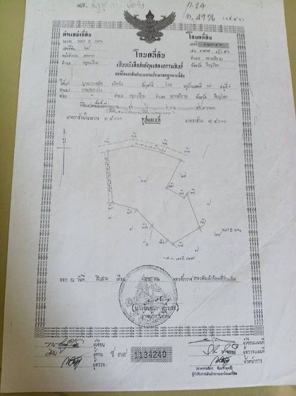 เจ้าของขายเอง ที่ดินแปลงใหญ่ 43 ไร่เศษ โฉนด น.ส. 4 จ. ครุฑแดง ตลุกเทียม-พิษณุโลก ติดถนนสาธารณะ เหมาะทำฟาร์มหรือโกดังเกษตร