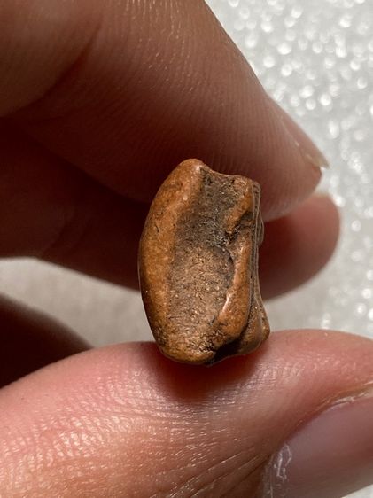 พระรอดสวยเก่าๆ รูปที่ 5