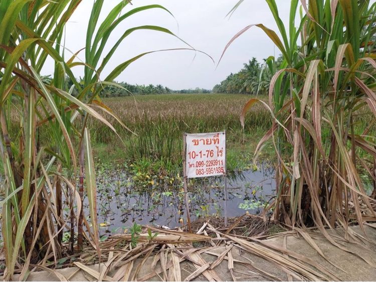 ขายที่ดินแปลงใหญ่10ไร่1งาน76ตารางวา