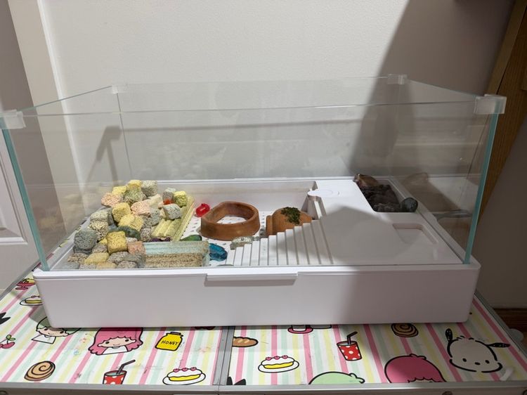 อุปกรณ์ตู้ปลา ตู้เลี้ยงเต่า มีกรอง