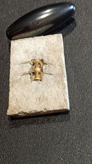 พระสมเด็จก้างปลาวัดระฆัง แถมเหรียญ รูปที่ 3