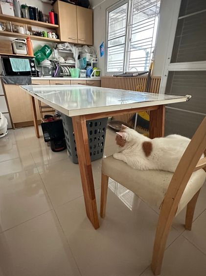 โต๊ะกินข้าว โต๊ะอาหาร รูปที่ 5