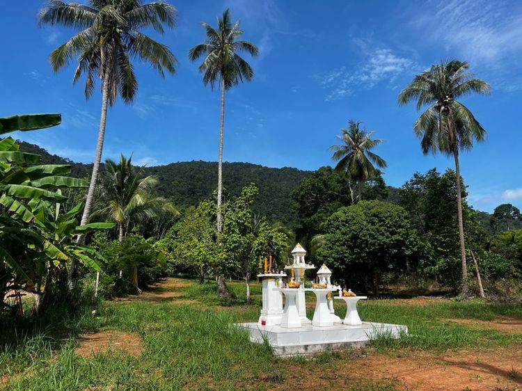 ใช่ ขายที่ดินแปลงสวย อำเภอเกาะช้าง จังหวัดตราด  รูปที่ 4