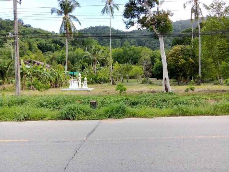 ขายที่ดินแปลงสวย อำเภอเกาะช้าง จังหวัดตราด