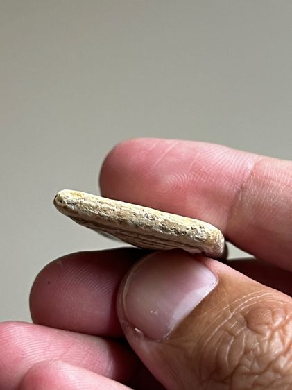 พระสมเด็จ รูปที่ 6