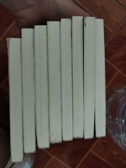 หนังสือการ์ตูนซังโด คนกล้าท้าโหงวเฮ้ง 8 เล่มจบ รูปที่ 5