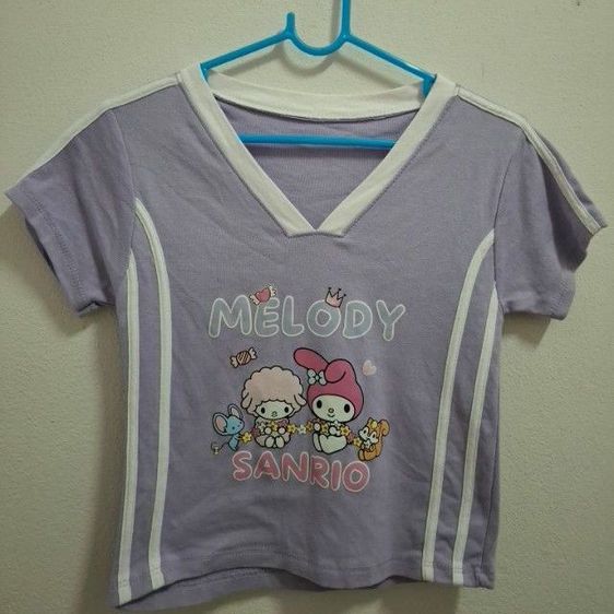 แขนสั้น อื่นๆ อื่นๆ เสื้อครอป คอวี ลายน่ารัก