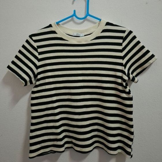 แขนสั้น เสื้อไหมพรม เสื้อยืด ครอป คอกลม ไหมพรม