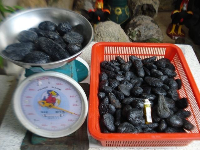 สะเก็ดดาว ละอองดาว tektite รูปที่ 4