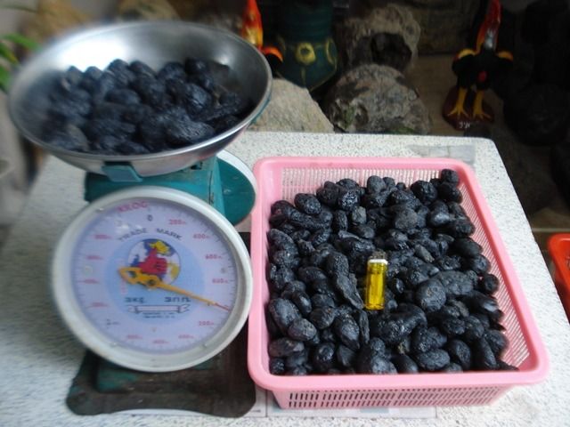 สะเก็ดดาว ละอองดาว tektite รูปที่ 5