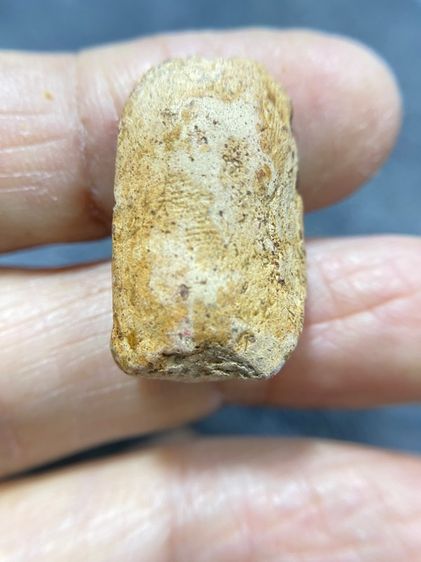 พระคงลำพูนขาว รูปที่ 2