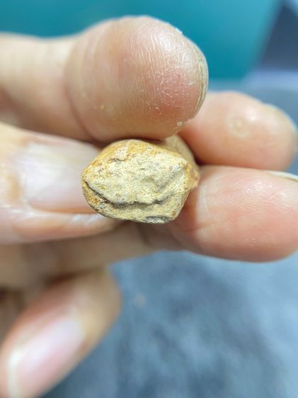 พระคงลำพูนขาว รูปที่ 5