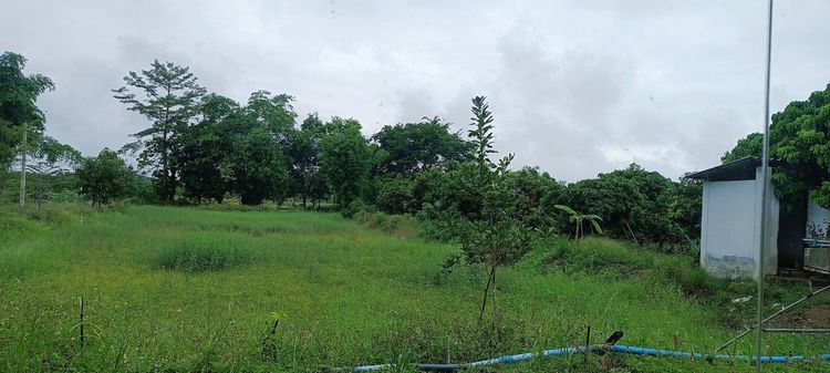 บ้าน 2 หลัง พร้อมที่ดิน สวนผสมผสาน 9 ไร่ ใกล้ถนนเลี่ยงเมืองเพียง 500 ม. รูปที่ 2