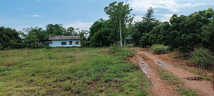 บ้าน 2 หลัง พร้อมที่ดิน สวนผสมผสาน 9 ไร่ ใกล้ถนนเลี่ยงเมืองเพียง 500 ม. รูปที่ 3