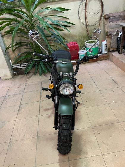 ขาย golila รูปที่ 8