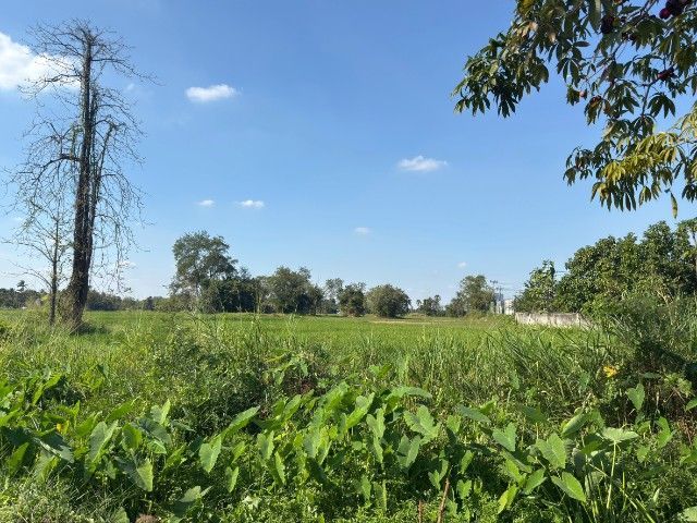 ใช่ ขายที่ดินติดถนนใหญ่เพชรบุรี รูปที่ 4