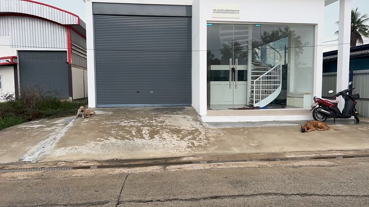 ขายโกดังพร้อมที่ดิน สามารถทำโรงงานได้ พื้นที่ปทุมธานี ลาดหลุมแก้ว รูปที่ 2