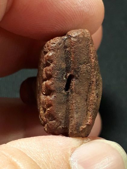 หลวงปู่ทวดเนื้อว่าน วัดช้างให้ จังหวัดปัตตานี รูปที่ 5