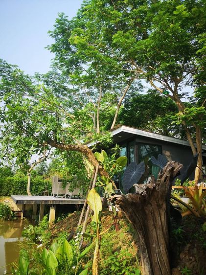 บ้านพร้อมที่ดิน