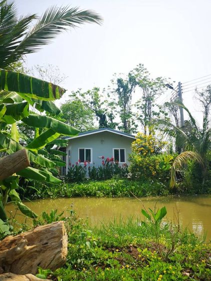 ตกแต่งครบ บ้านพร้อมที่ดิน รูปที่ 3