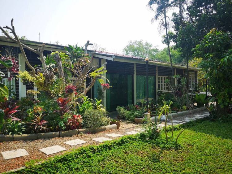 ตกแต่งครบ บ้านพร้อมที่ดิน รูปที่ 4