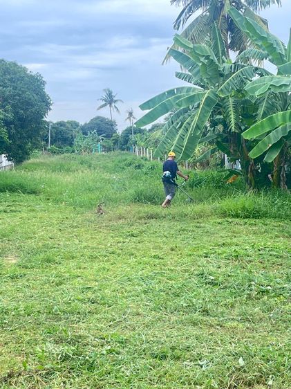 ให้เช่าที่ดิน รูปที่ 4