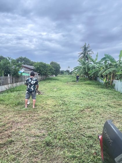 ให้เช่าที่ดิน รูปที่ 3