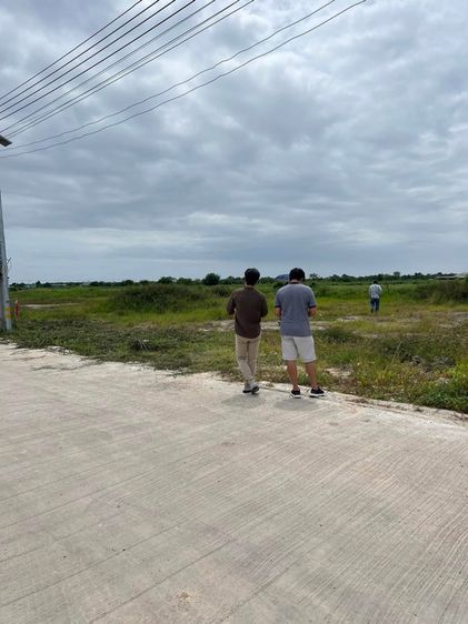 ใช่ ขายที่ดินเปล่า 200ตรว. คลองด่าน บางบ่อ สมุทรปราการ รูปที่ 2